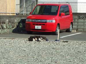 �����񂾁@�����񂾁@���Ȃ�āD�D�D�D�D