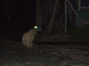 �ÈłŁ@�悭�������ˁI