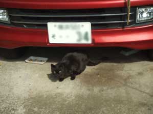 �����@���͂�����`