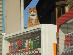 �͂��I�@�撣���Ă���܂��B