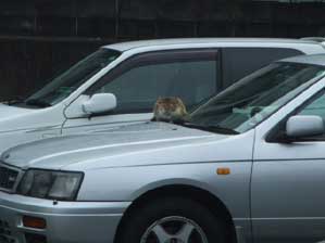 ���܂���B