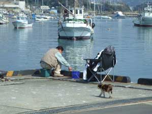 ���C�V���@���C�V��