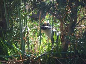 ��������������I