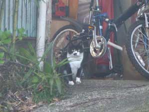 �G�b�w���I