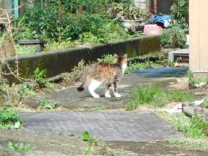 �������@���̐��́I�I