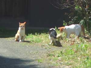 �z���@�z���I