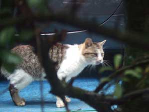 �B���Ă�邩�`�`