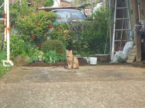 ���[�[�ƁI