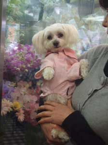 ���@���@�ْ������I