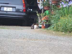 ��������������I