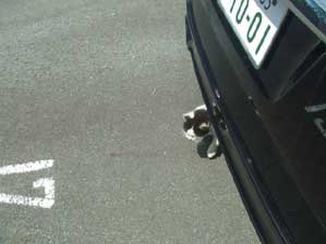 ����H�@�܂������񂾁`