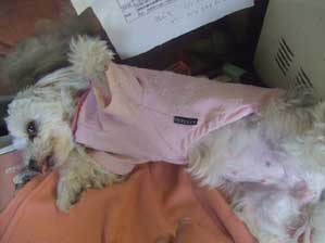 �C������������@����ā`�`