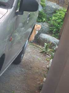 �݁[�������I