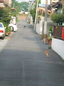 �l�����낢���@�j�����낢���