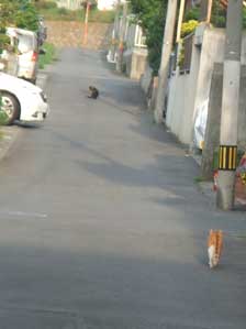 ���q����@�D���Ȃ̂�`