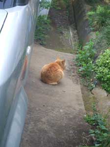 �����͂ǂ��֍s�������ȁ`