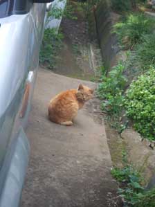 ���ꂢ���ˁ`