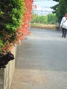 ��������O���̃N���b�J�[�I