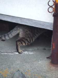 �d���Ȃ��@��邩�`