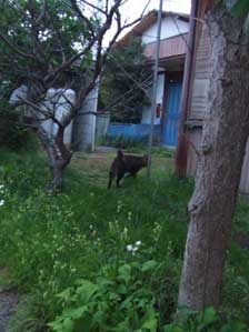 �������ւ����Ł`�`