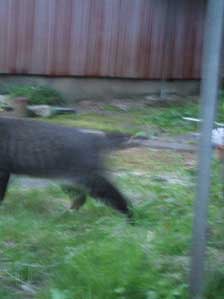 �u���u���u���u���I