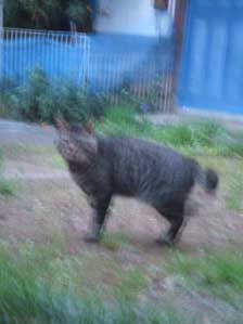 �u���u���u���u��