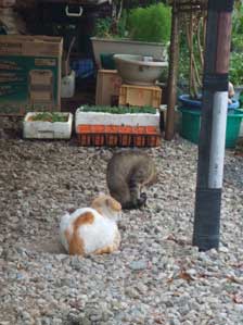 �m��܂���I