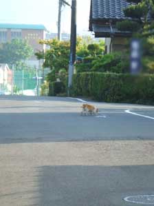 ���܂��ꂽ�I