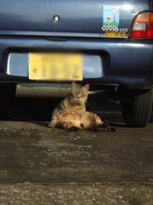 �D�낾�����炢���񂾂��ǂȁ`