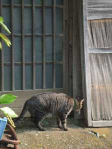 ���̂悤�ł������܂��I