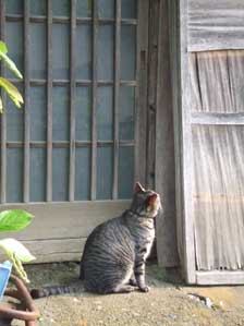 �́[�[�[���I