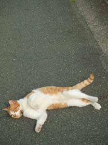 �����@���ꂽ�`