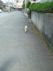 ���̐g�ɗ����ā`�@��