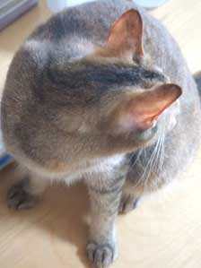 ����ȂɁ@������ƏƂ���B�B�B