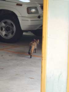 ����Ȃ�Ɂ@�Y�݂��������Ƃ���ŉ�������󂪂Ȃ��I