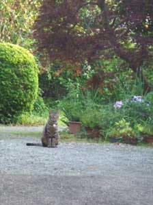 �������́`