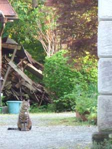 �Ƃ肠�����@���I