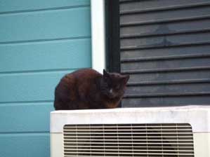 �N���Ă����`