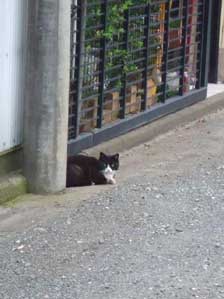 �M���͂��`��H�@������I