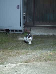 ���J�߂̌��t�@���肪�Ƃ��������܂��B