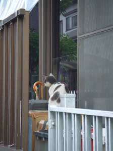 ���W���I�@���ā@���R���n�I