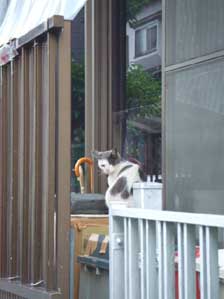 ��������ꂿ�Ⴄ�Ɓ@���܂���B