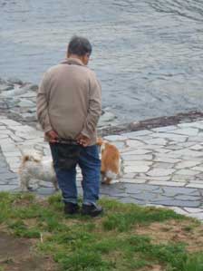 ����Ɓ@�ǂ������j���`