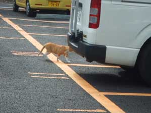 ���肪�Ƃ��I