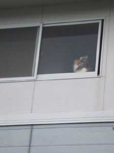 �D�D�D�D�D