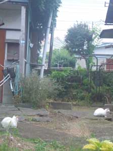 �˂��@�˂��@�܂��@���̐l��