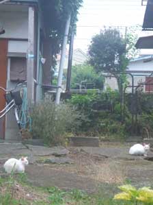 �������Ă���̂�����H