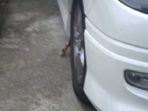 �Ȃ񂾁@�Ȃ񂾁I