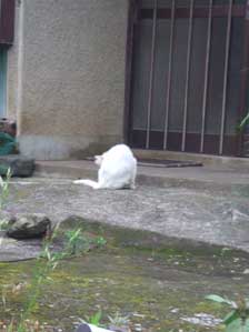 ���W���I