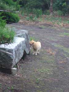 �s�@�s�@�s�[�[